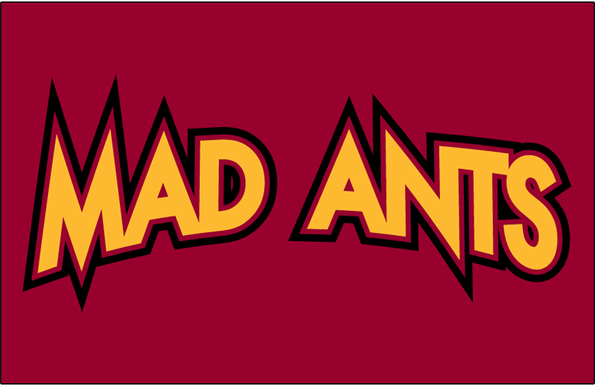 Fort Wayne Mad Ants 2006-2017 Jersey Logo iron on transfers for clothing